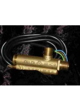Flow Switch